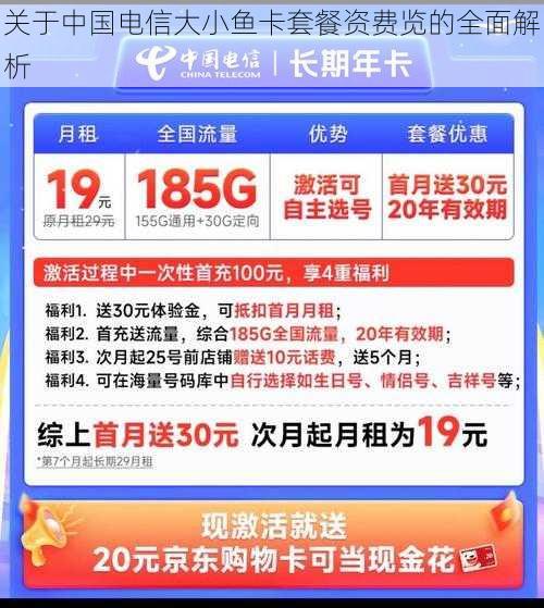 关于中国电信大小鱼卡套餐资费览的全面解析