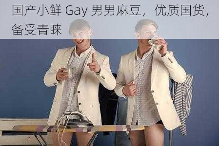 国产小鲜 Gay 男男麻豆，优质国货，备受青睐