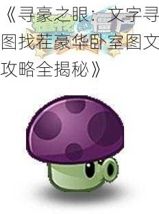 《寻豪之眼：文字寻图找茬豪华卧室图文攻略全揭秘》