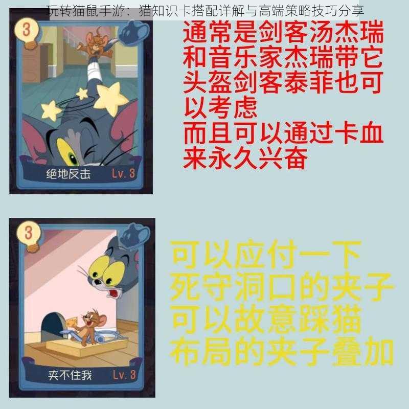 玩转猫鼠手游：猫知识卡搭配详解与高端策略技巧分享