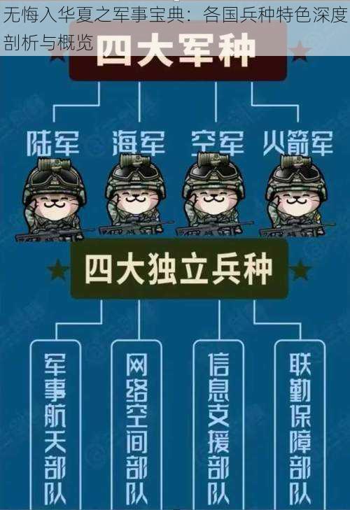 无悔入华夏之军事宝典：各国兵种特色深度剖析与概览