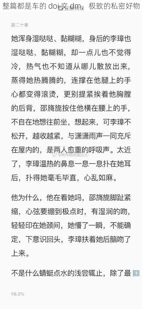 整篇都是车的 doi 文 dm，极致的私密好物