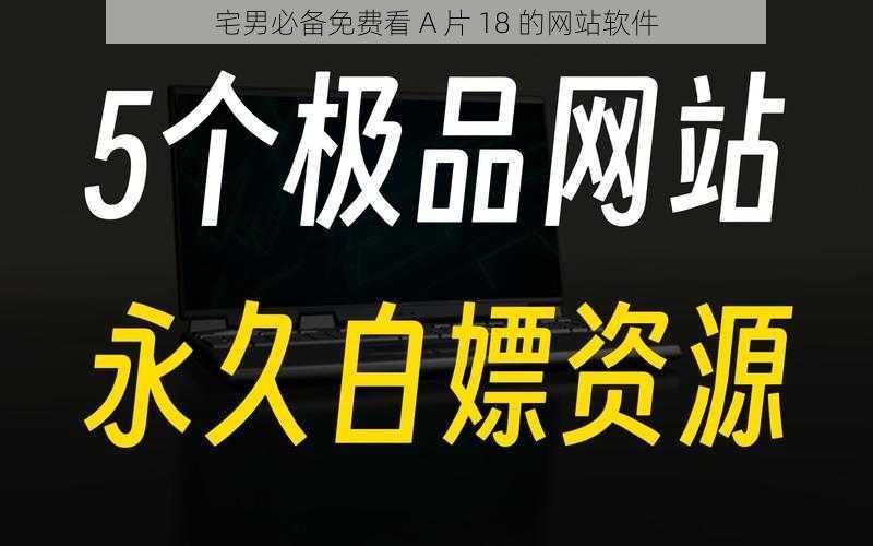 宅男必备免费看 A 片 18 的网站软件