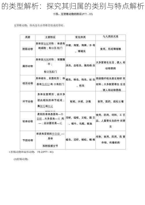 的类型解析：探究其归属的类别与特点解析