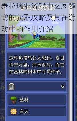 泰拉瑞亚游戏中玄凤鹦鹉的获取攻略及其在游戏中的作用介绍