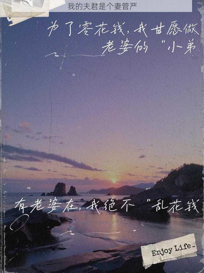 我的夫君是个妻管严