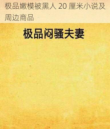 极品嫩模被黑人 20 厘米小说及周边商品