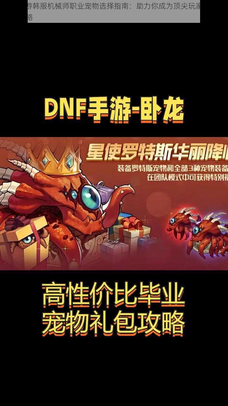 DNF手游韩服机械师职业宠物选择指南：助力你成为顶尖玩家的宠物推荐攻略