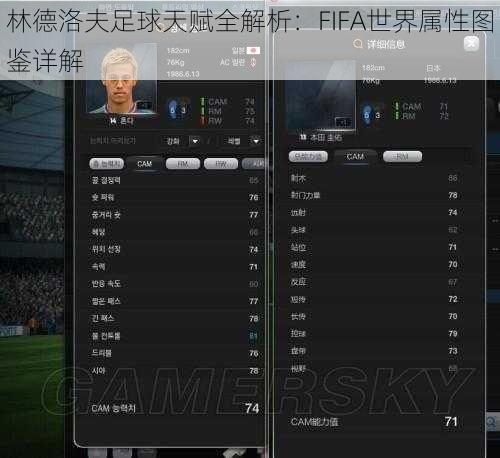 林德洛夫足球天赋全解析：FIFA世界属性图鉴详解