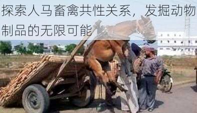 探索人马畜禽共性关系，发掘动物制品的无限可能