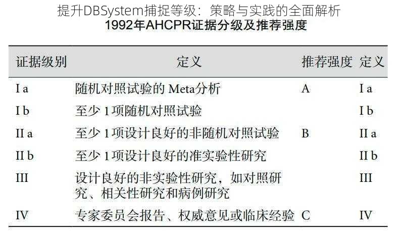 提升DBSystem捕捉等级：策略与实践的全面解析