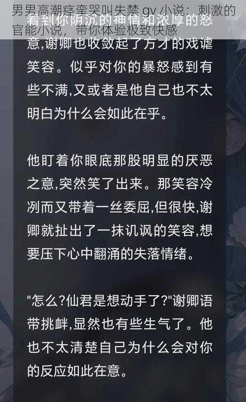 男男高潮痉挛哭叫失禁 gv 小说：刺激的官能小说，带你体验极致快感