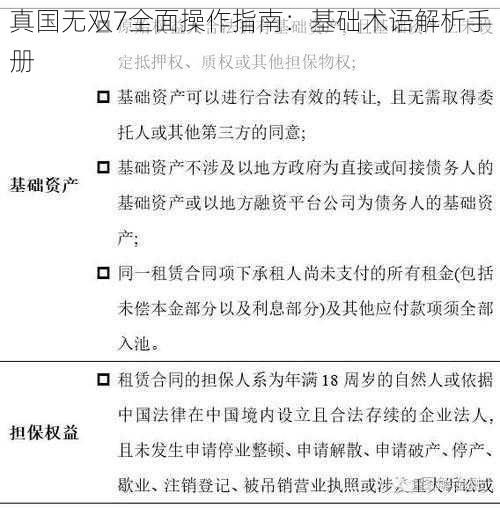 真国无双7全面操作指南：基础术语解析手册