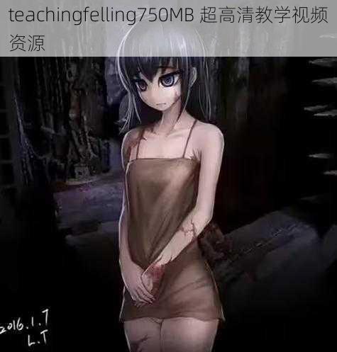 teachingfelling750MB 超高清教学视频资源