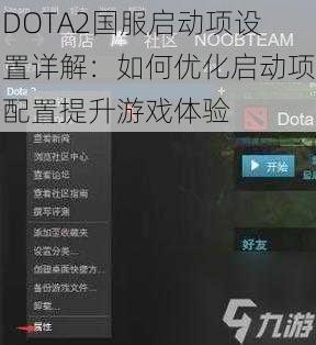 DOTA2国服启动项设置详解：如何优化启动项配置提升游戏体验